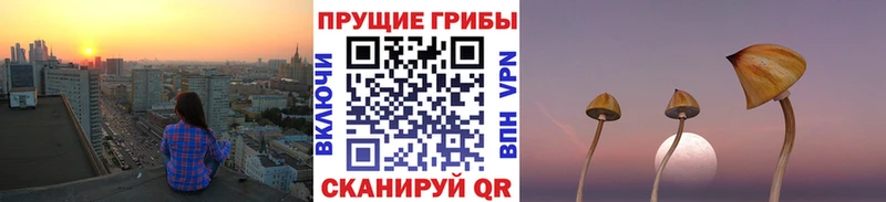Галлюциногенные грибы мухоморы  Галич 